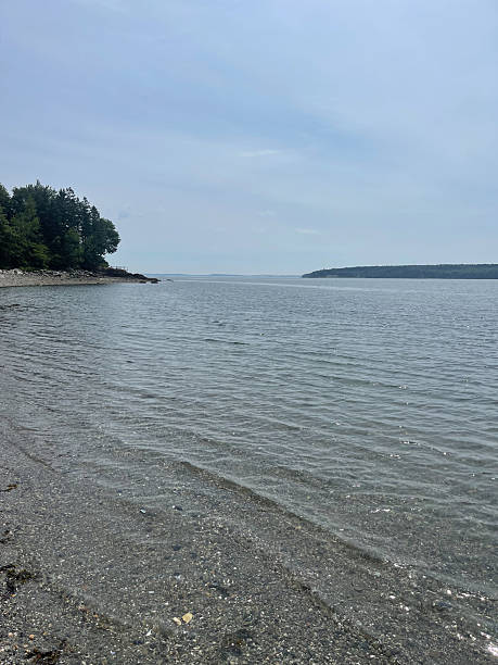 istock Lamoine Beach in Lamoine, Maine 2222116411