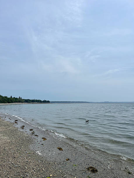 istock Lamoine Beach in Lamoine, Maine 2222116760