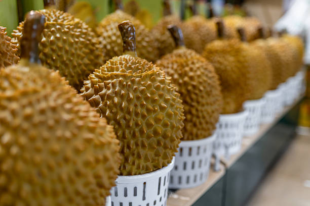 Durians are neatly stacked on the shelves of the fruit market. They are plump and round, with the spikes on their shells glowing with an attractive luster, and the rich tropical fruit aroma seems to overflow the screen.