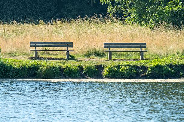 Two empty benches sit peacefully by a tranquil lake, offering a place for quiet contemplation and relaxation