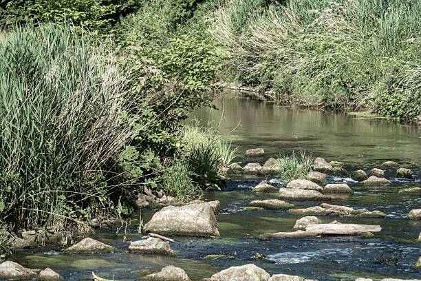istock Small river flowing through rocks and vegetation in summer 2222119487