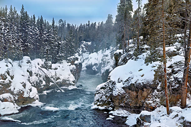 istock Yellowstone National Park 2222121434