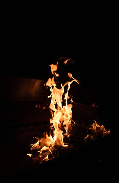 A close-up of a bright fire burning in a dark background. The flames create a dynamic and warm light, showcasing the vivid movement and power of the fire. Ideal for themes of warmth and energy.