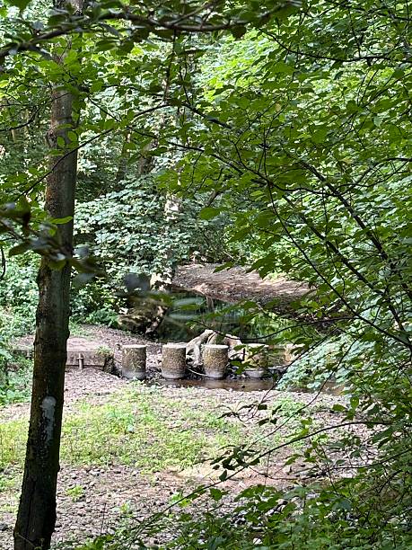 istock Stepping stones across a stream in the woods 2222132433