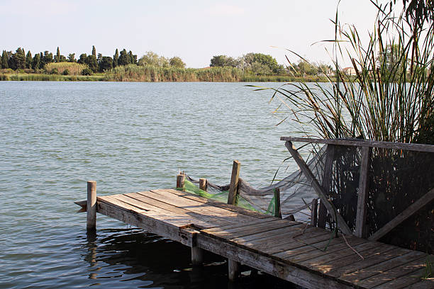 istock Wooden Dock on a Quiet Lake with Reeds 2222134096