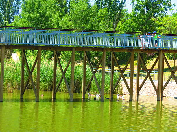 The river bank with a pier in the morning light, 2 geese walk along the shore