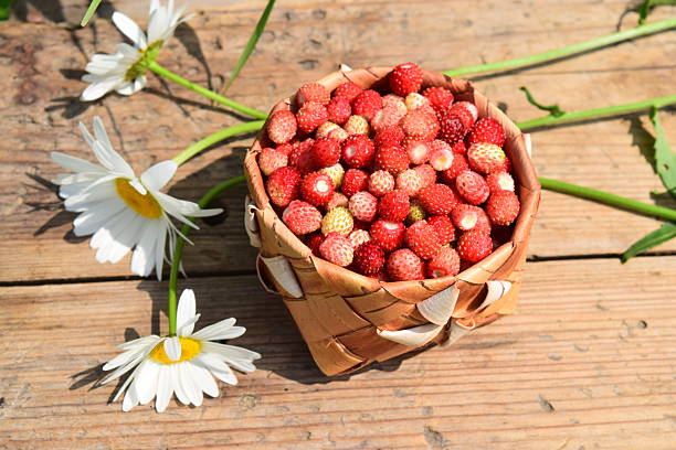 Beautifl flowers and berry
