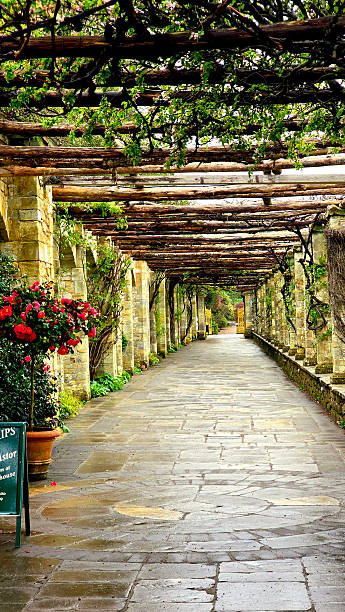 istock Tunnel with flowers and bushes with brick wall 2222140002