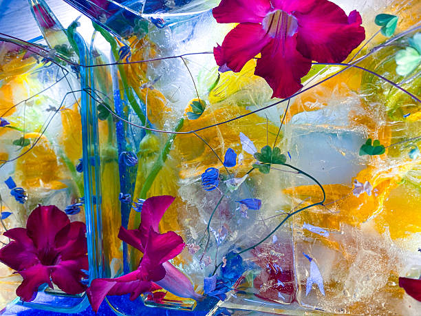 istock Beautiful multi coloured frozen flowers 2222146247