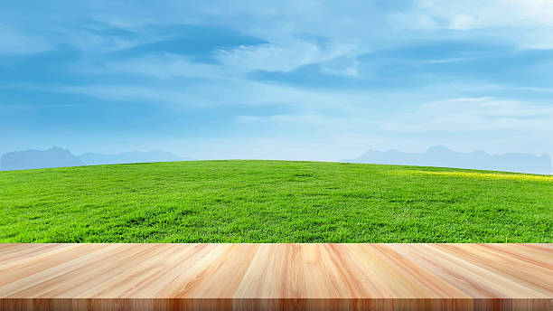 istock Empty wooden table with grassland and sky background. 2222147172