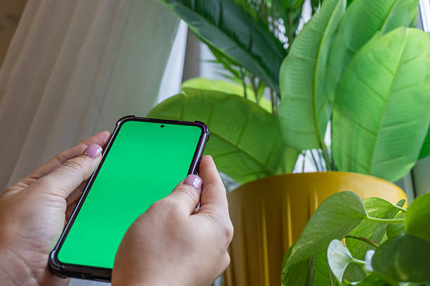istock Hands holding smartphone with green screen next to indoor plants 2222153943