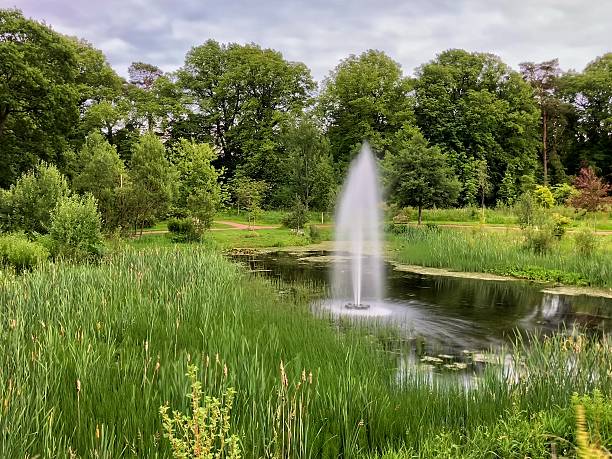 istock Woodland fountain 2222156133
