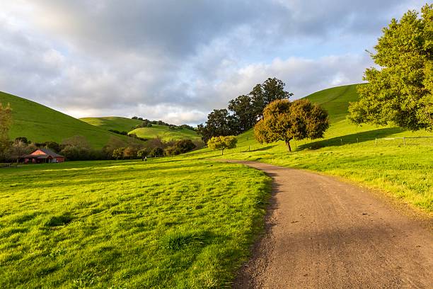 istock Golden Hour 2024 at Garin Park 2222160716