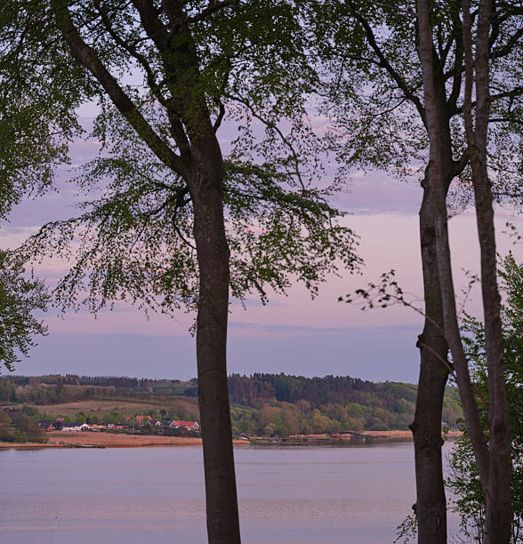 Through a gentle frame of budding spring leaves, experience the soft, pastel hues of a calm Danish evening. The countryside beyond ripples in harmony with the calming ambiance of quiet lake shores.