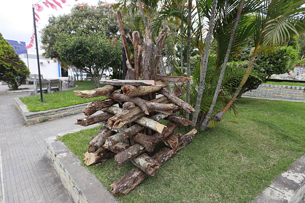 Port timber stacking area under blue sky