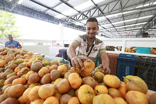 jequie, bahia, brazil - june 13, 2025: view of a municipal market stall selling fruits, vegetables, legumes and greens.