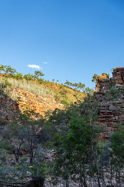 istock Chamberlain River flowing through Chamberlain Gorge in postcard perfect scene. 2222190125