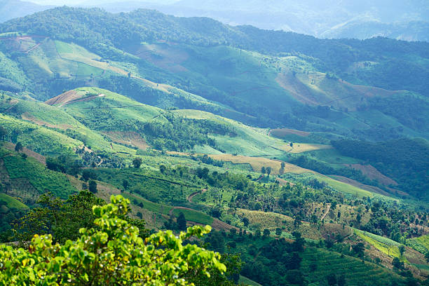 istock Lush Green Landscape with Rolling Hills and Mystical Mountains 2222196341
