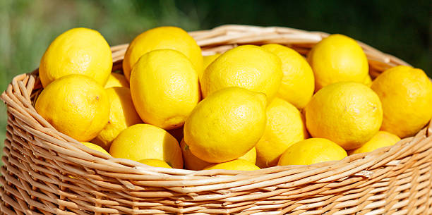istock A basket full of lemons 2222198312