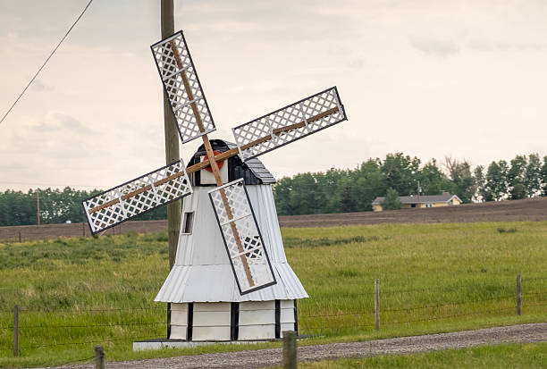 A quaint, white miniature windmill with a classic design stands in a lush green field under a pale sky