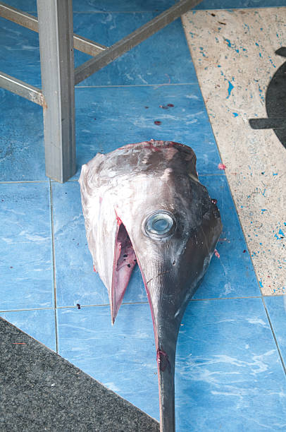 beautiful and delicious slice of fresh swordfish