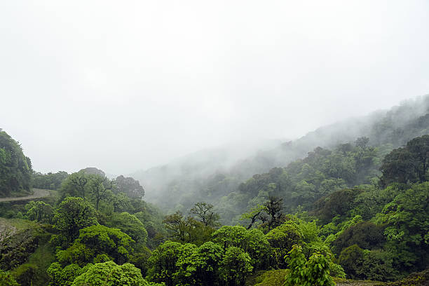 istock Lush green mountains shrouded in mist during a misty morning in a tropical forest 2222204708