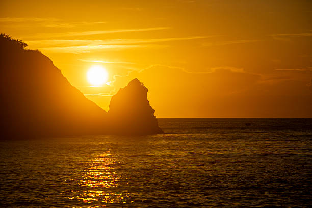 Amami Oshima's natural beauty, especially its summer ocean.