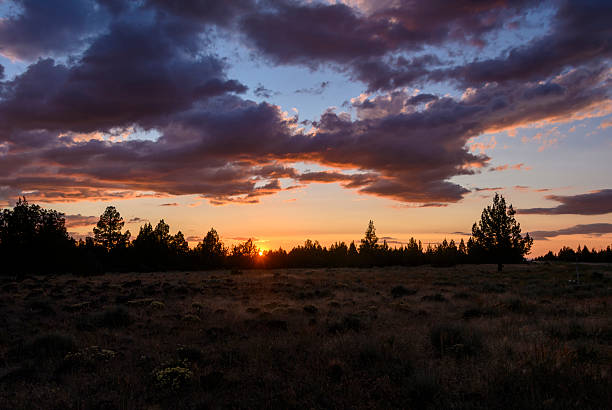 State of Washington rural landscape in summer sunset