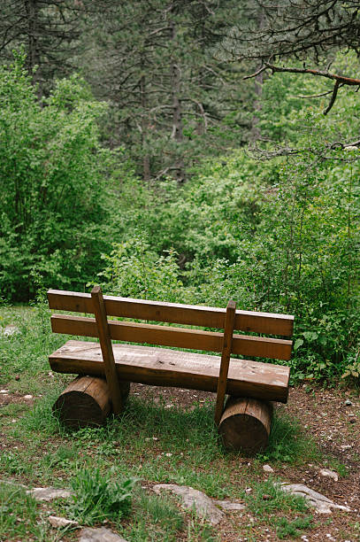 Spring mood