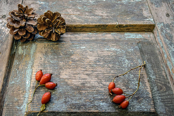 Two pine cones and two dry branches with rose hips on the old wooden surface with cracks and remnants of blue paint. Autumn still life. Close-up. Selective focus. Copy space.