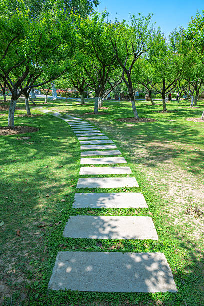 Stone footpath through the green public park