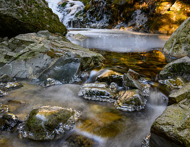 A serene river flows gently over smooth rocks, surrounded by lush greenery and illuminated by soft morning light. The water sparkles as it cascades, creating a peaceful atmosphere.