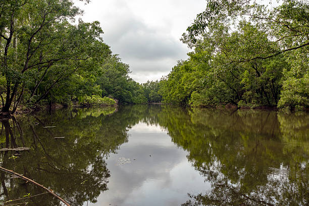istock Calm River with Reflections of Trees Under Cloudy Sky 2222218106