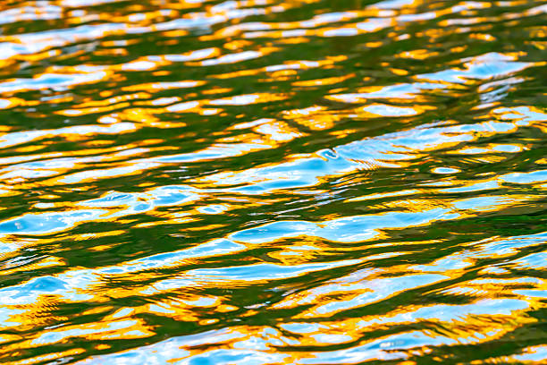 Water ripples  in slight diagonal pattern for background  or effects use at sunrise in Kimberleys with blended blue and gold light.