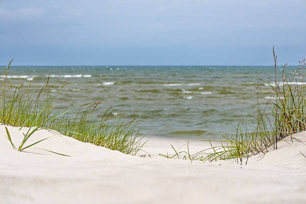 Serene Baltic shoreline with foamy waves, white quartz sand and swaying dune grass. Kolka, Latvia, 18 June 2025
