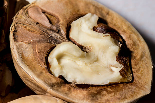 istock walnut shells. strong love. vegetarian food. vitamins for love 2222220949