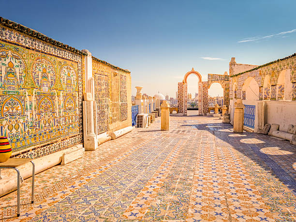 istock Traditional rooftop in Tunis, Tunisia 2222221176