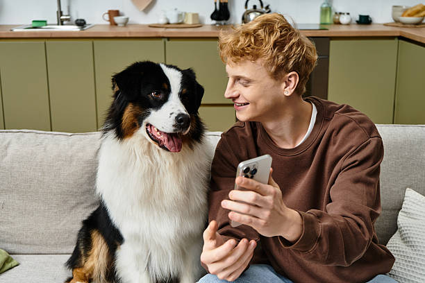 istock Bright moments shared between a redhead man and his Australian Shepherd at home 2222222217