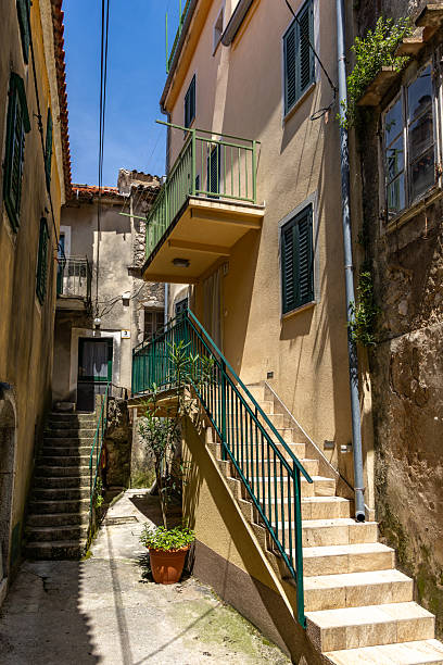 istock Crazy decorations and flower compositions, unusual designs and creative flower arrangements. Croatia 2222223802
