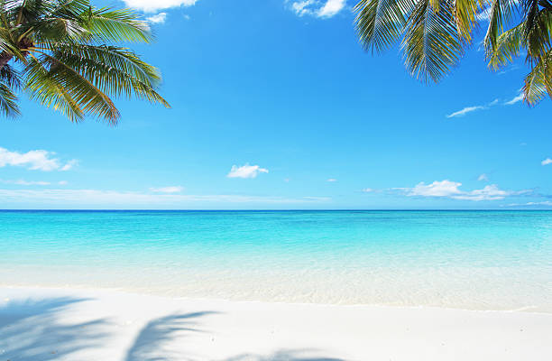 Tropical paradise beach scene for background or wallpaper