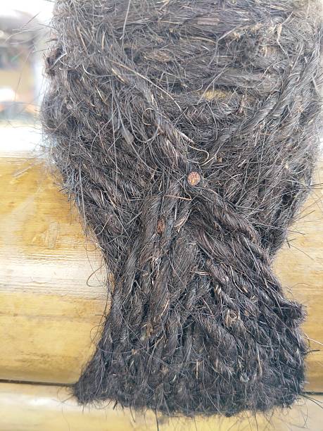 istock Injuk rope at the bamboo stem joint 2222245164