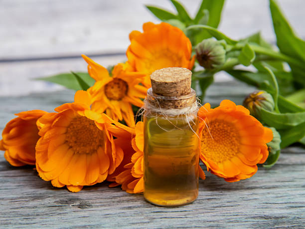 istock Calendula oil in a glass bottle on an old table 2222245582