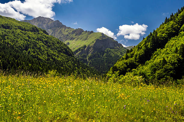 istock Scenic view of Shar Mountain 2222251463