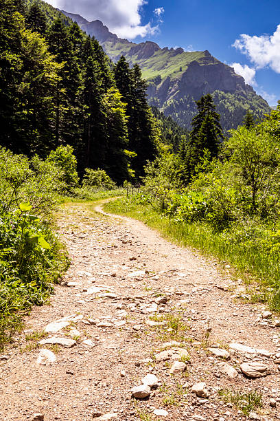 Beauty in nature and hiking opportunities on a mountain Shar during summer days. Suitable for hiking, sports, clean air, air bath, environment, challenges, achievement themes.
