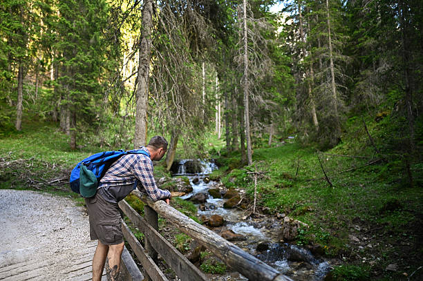 istock Hiker leaning on wooden bridge railing observing mountain stream in lush forest 2222253836