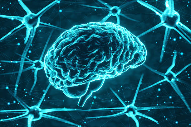 istock Glowing human brain with neurons on a dark blue background 2222258460