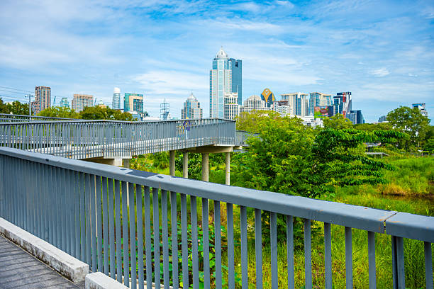 Green tropical swamp forest with office building nature landscape city of Bangkok Thailand