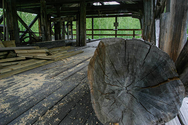 July 6, 2025 Lithuania, Druskininkai city, Forest Echo park. Wooden hut, exterior of the Forest Echo museum building in Druskininkai city.