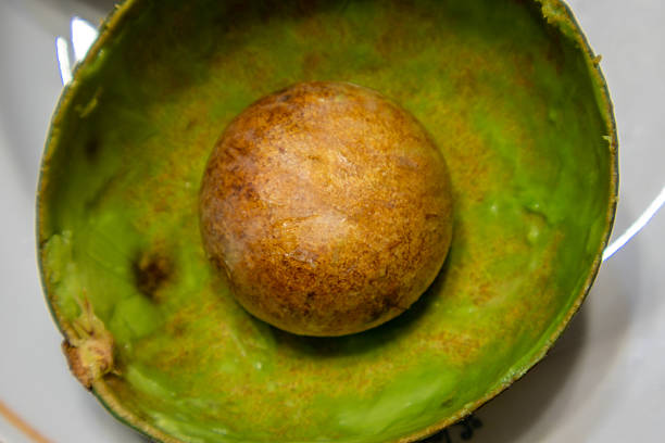 Healthy delicious vegetable avocado
