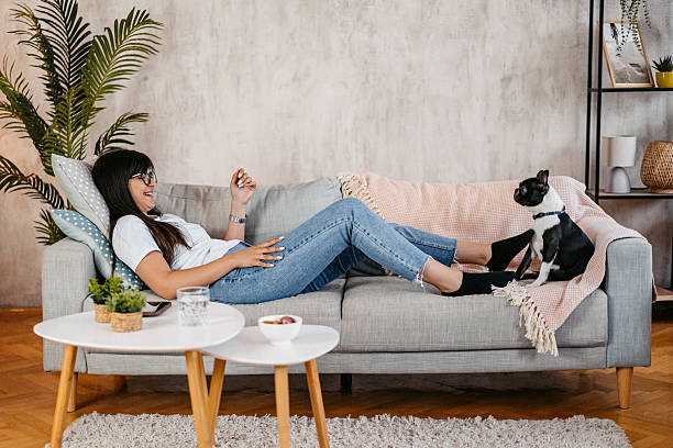 istock Young Woman Playing With Her Boston Terrier Dog 2222263789